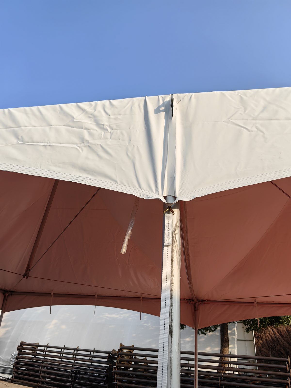 15m (50ft) 15m Black Frame Clear-Span Structure - 25m Length